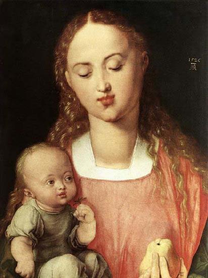 Albrecht Durer Madonna and Child with the Pear France oil painting art